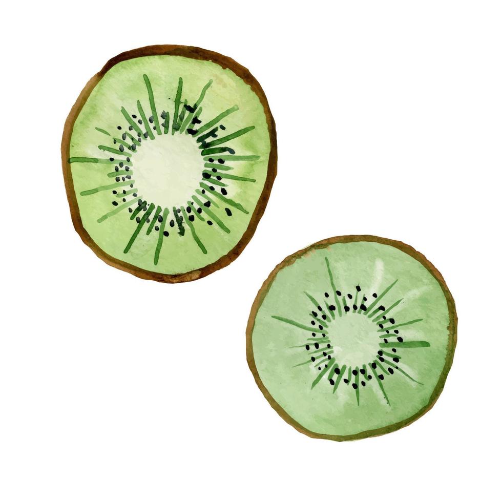 illustration aquarelle de kiwi. fruits mignons. nourriture végétalienne. produit biologique naturel. isolé sur fond blanc. vecteur