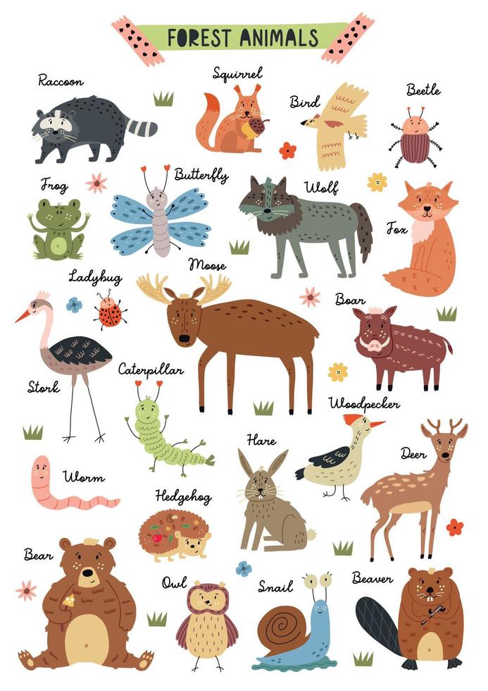 affiche pour enfants animaux de la forêt 6476622 Art vectoriel