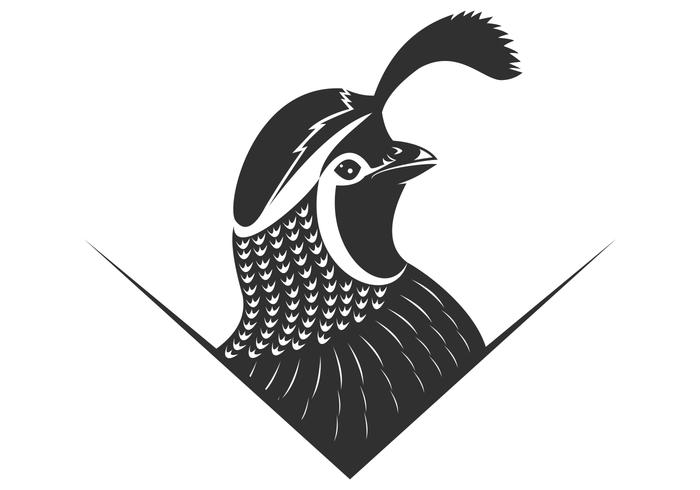 illustration vectorielle de caille logo vecteur