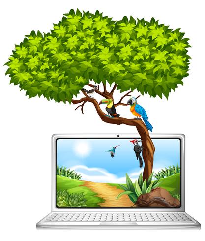 Écran d&#39;ordinateur avec des oiseaux sur l&#39;arbre vecteur