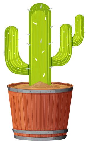 Un cactus dans le pot vecteur
