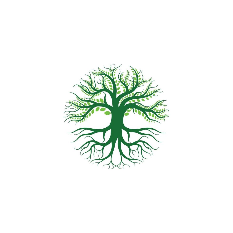 création de logo d'arbre vecteur