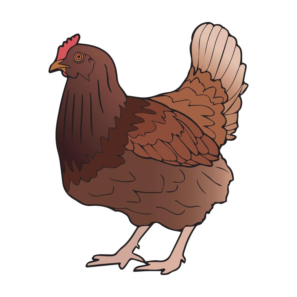 illustration d'art de poulet vecteur