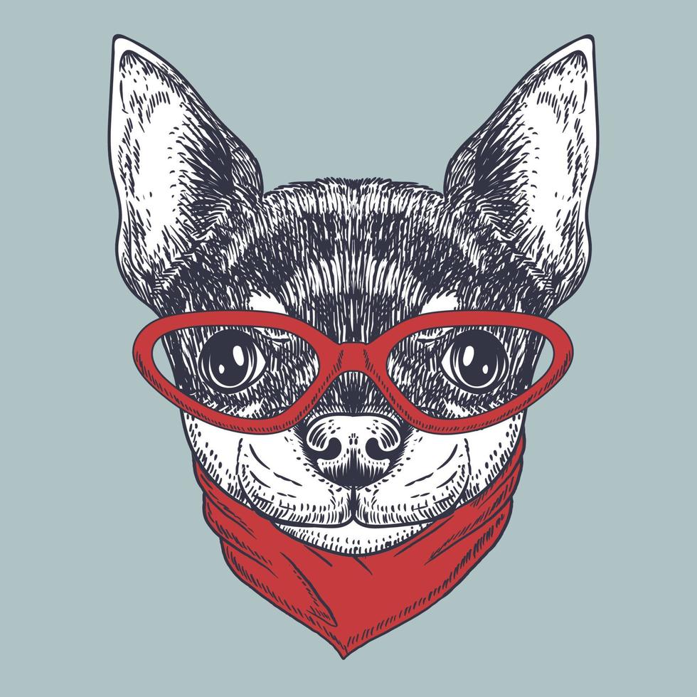 chien chihuahua dessiné à la main portant des lunettes rouges et un cou bandana vecteur