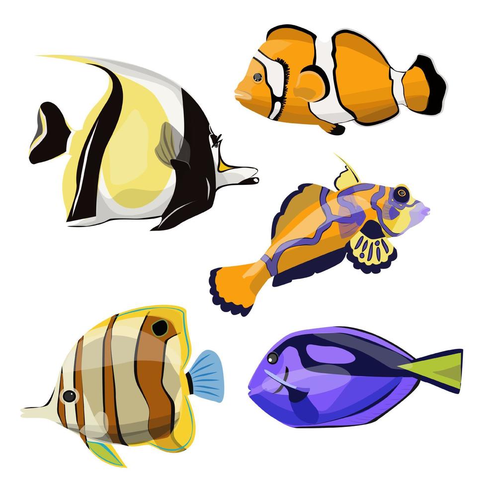 bel ensemble de poissons. idole mauresque, paracanthurus, poisson mandarin, poisson clown. isolé sur l'illustration vectorielle blanche. vecteur
