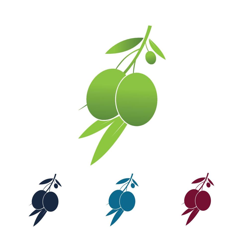 logo icône olive vecteur