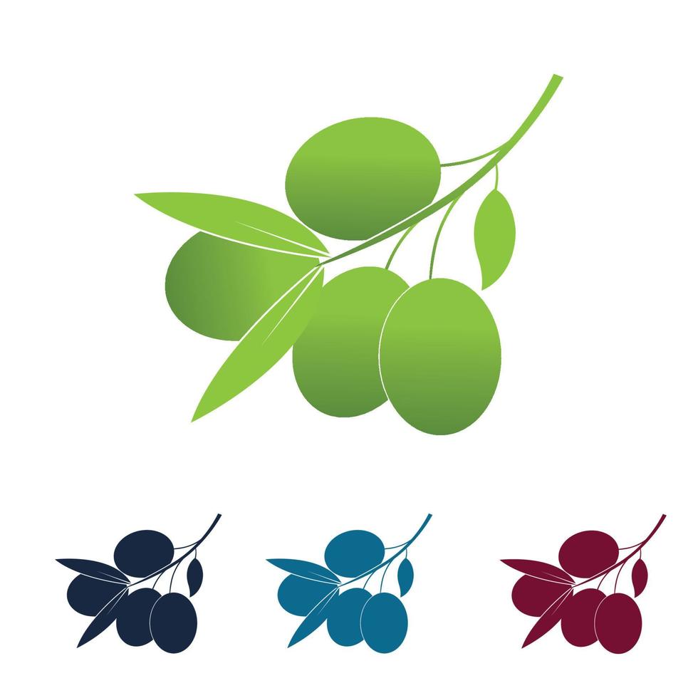 logo icône olive vecteur