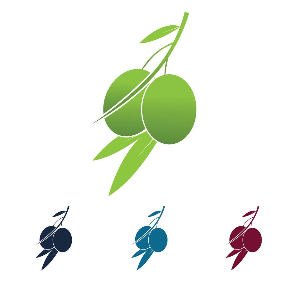 logo icône olive vecteur