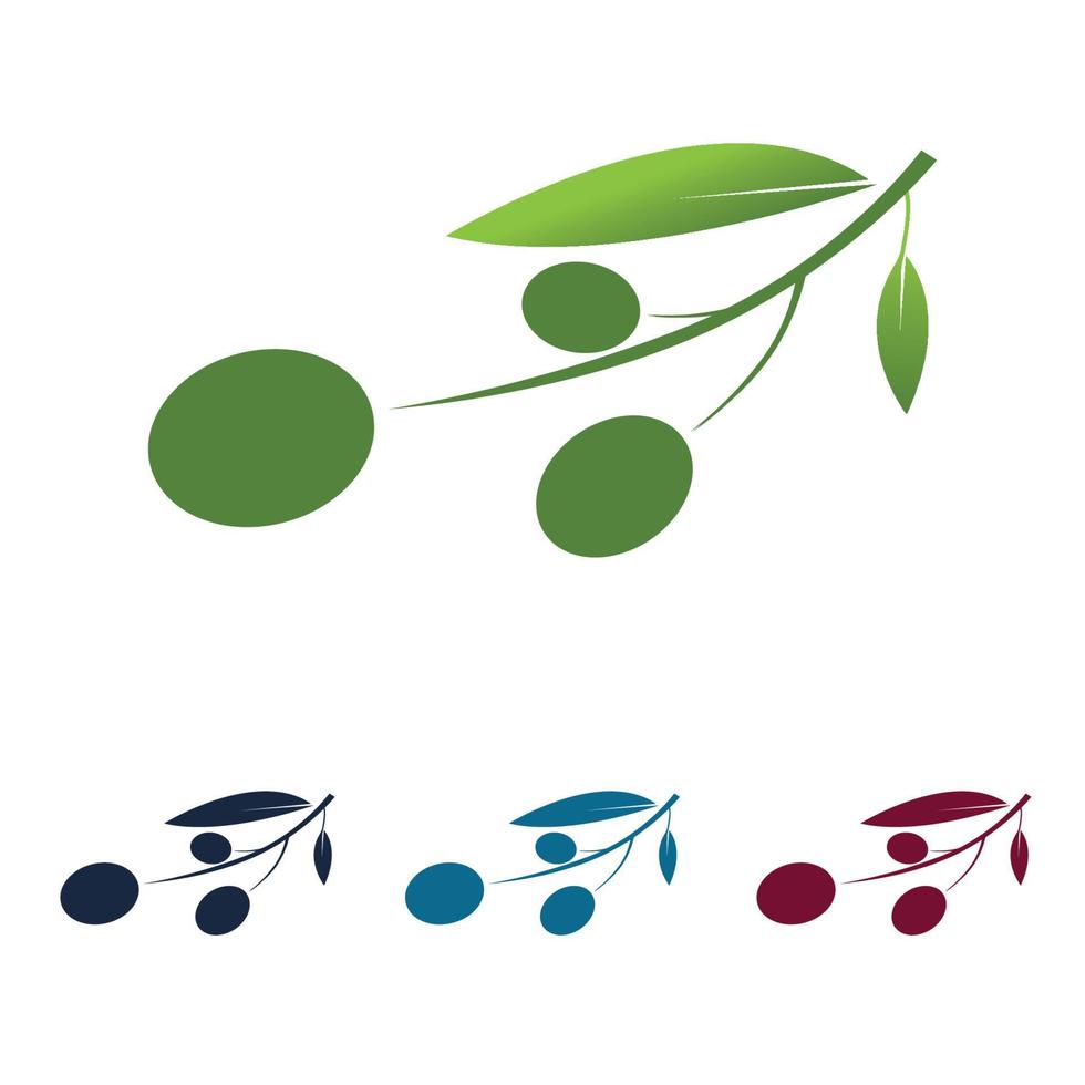 logo icône olive vecteur