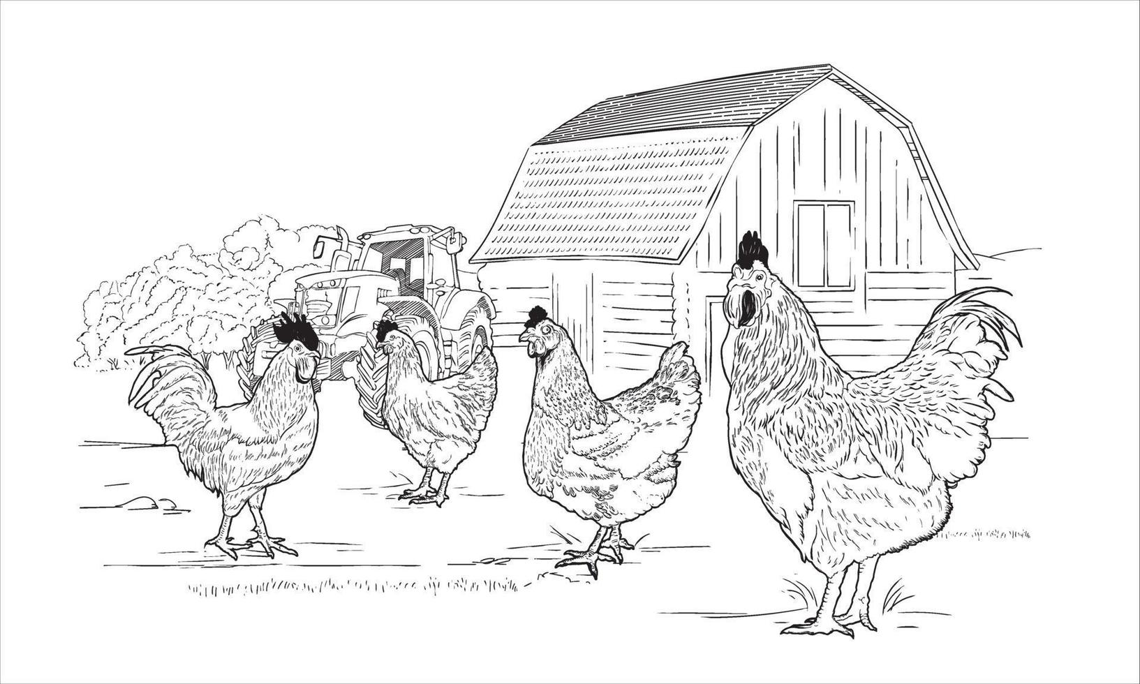 maison de campagne en bois croquis gravure poulet poule coq sur terrain en herbe avec tracteur noir et blanc illustration vectorielle dessinés à la main vecteur