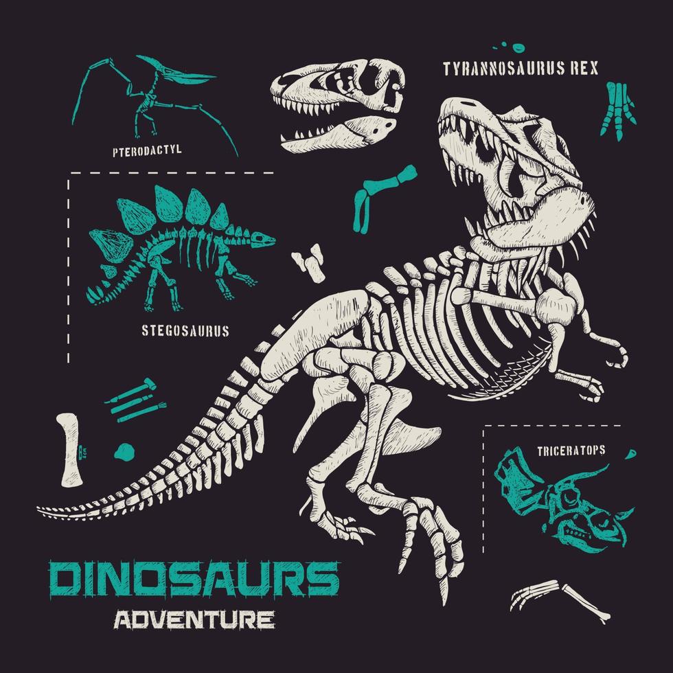 dinosaures fossiles et os illustration vectorielle dessinés à la main vecteur