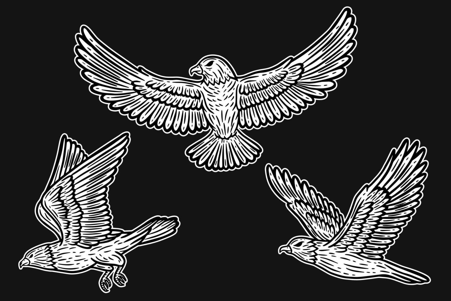 définir des ailes d'animaux d'oiseau d'aigle volant dessinés à la main pour l'illustration d'art de tatouage et de t-shirt vecteur