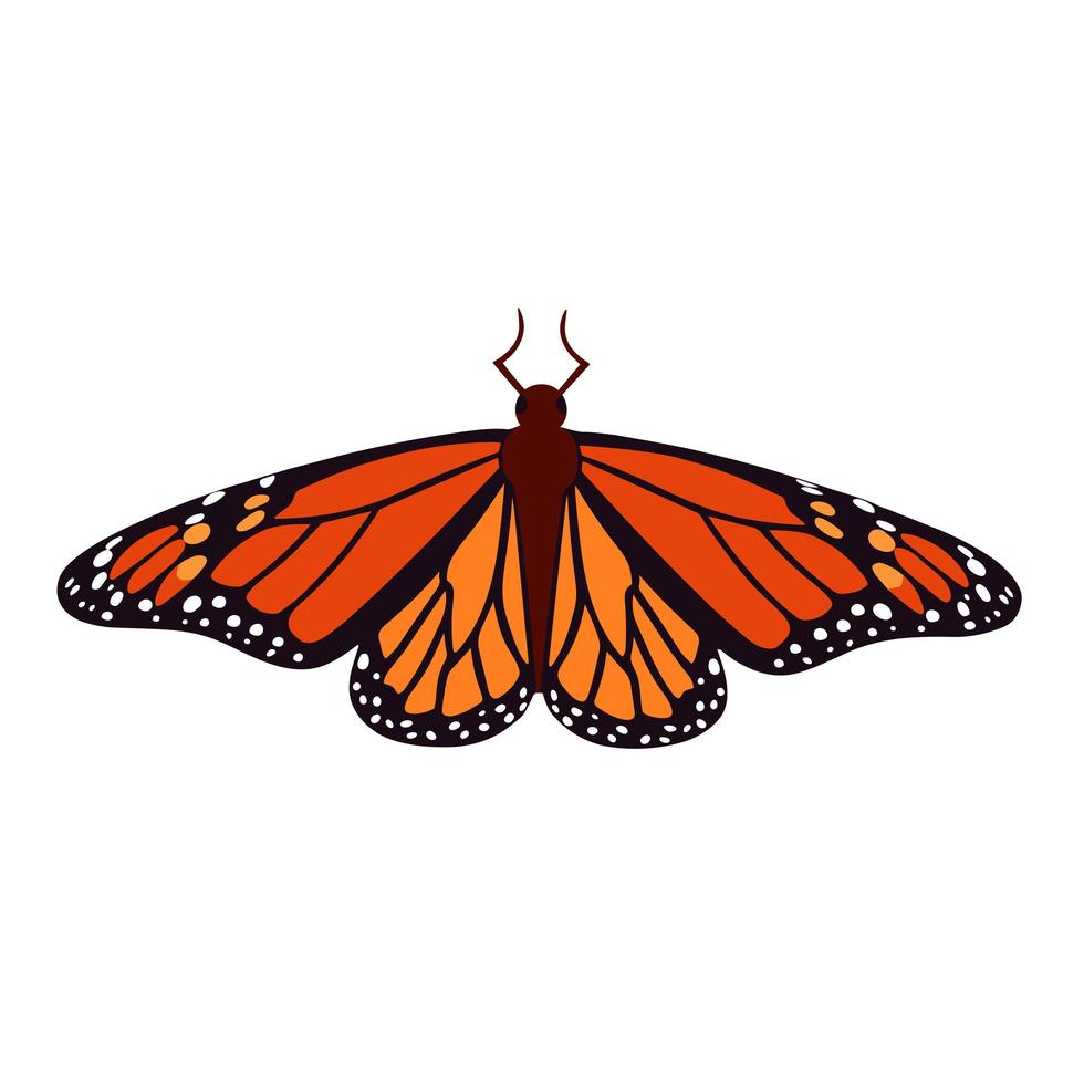 papillon monarque isolé illustration vectorielle vecteur