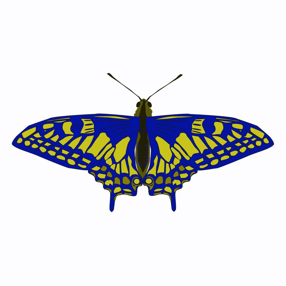 papillon bleu jaune. vecteur