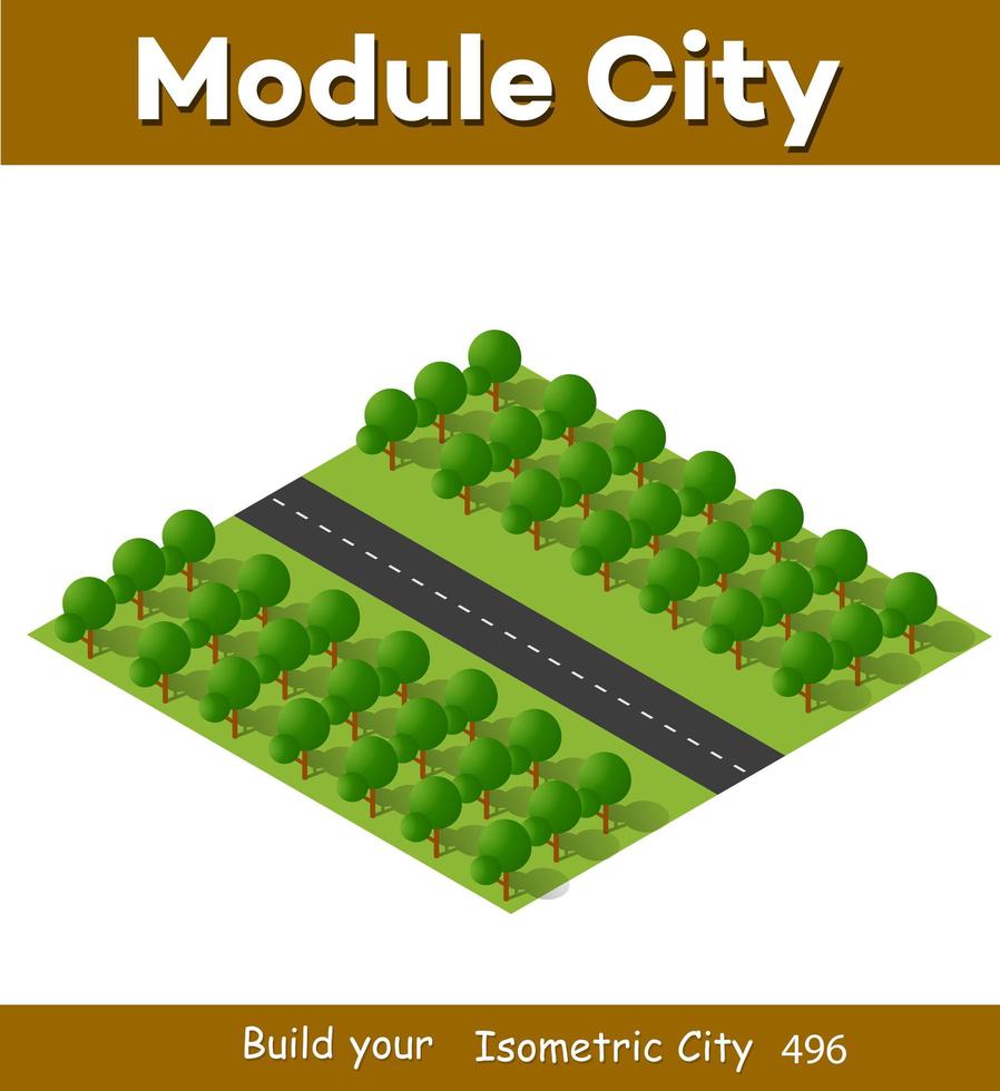 vue d'illustration 3d isométrique d'en haut sur le quartier de la forêt vecteur