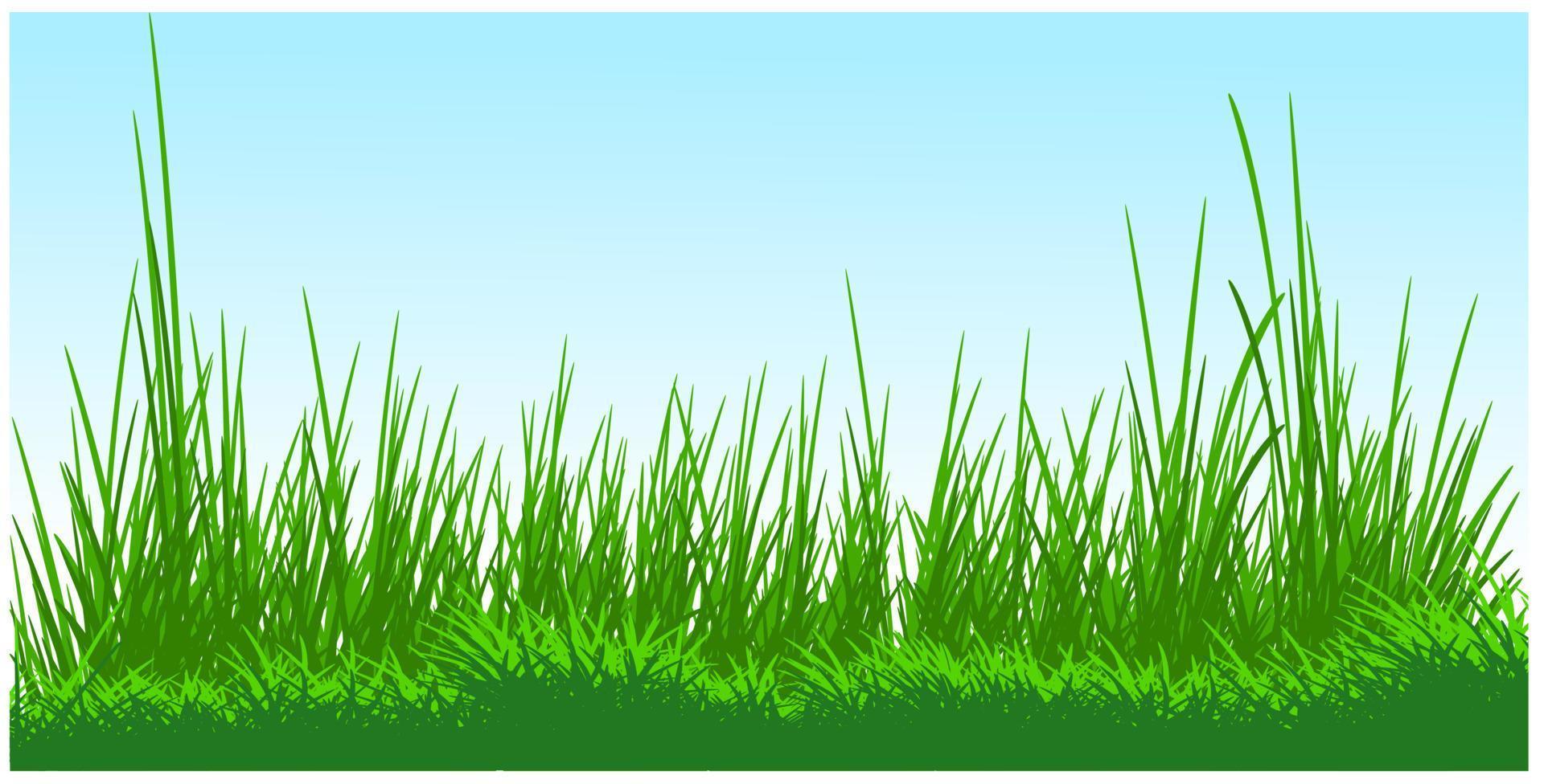 fond de silhouette d'herbe au sol, herbe de printemps, silhouette de prairie vecteur
