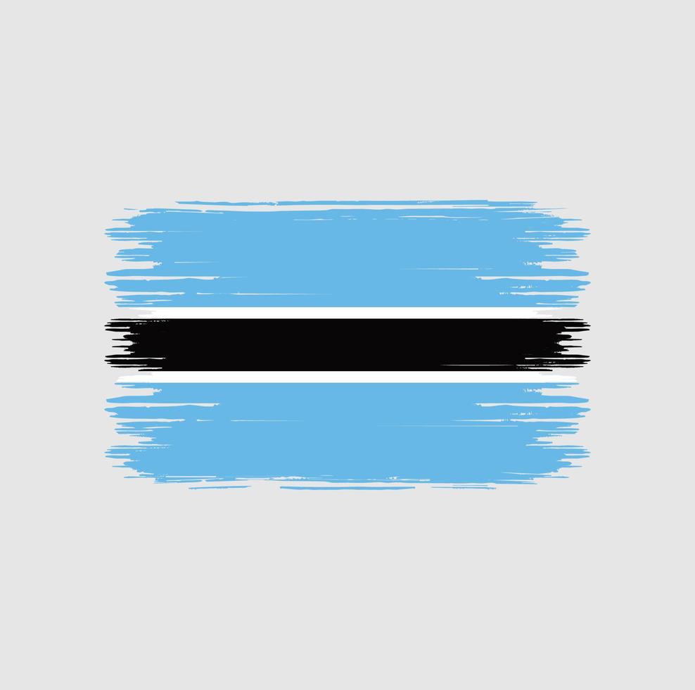 brosse de drapeau du botswana. drapeau national vecteur
