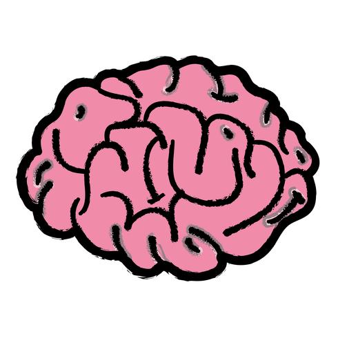 l&#39;anatomie du cerveau humain à la créativité et à l&#39;intellect vecteur