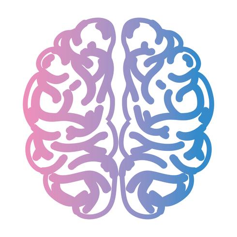 aligner l&#39;anatomie du cerveau humain sur la créativité et l&#39;intellect vecteur