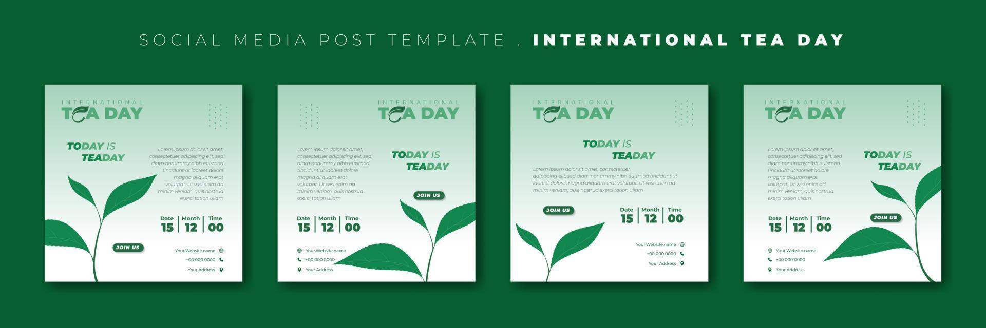 ensemble de modèles de publication de médias sociaux avec un design de feuille de thé. conception de modèle de journée internationale du thé. vecteur