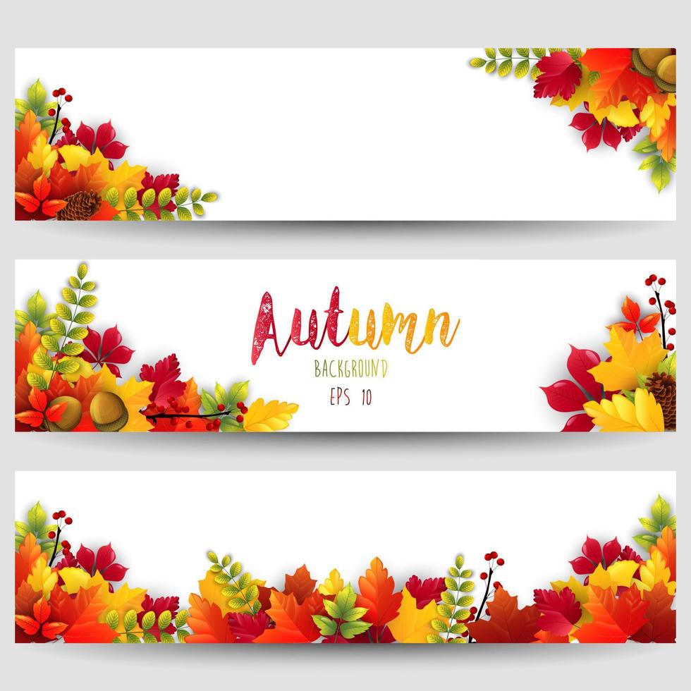 feuilles d'automne colorées banners.vector vecteur