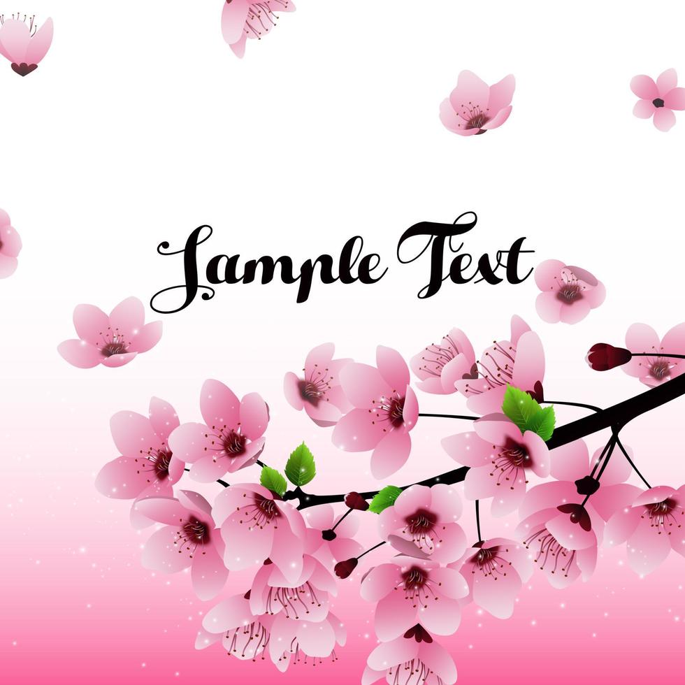 fond de fleurs de sakura avec champ pour text.vector vecteur