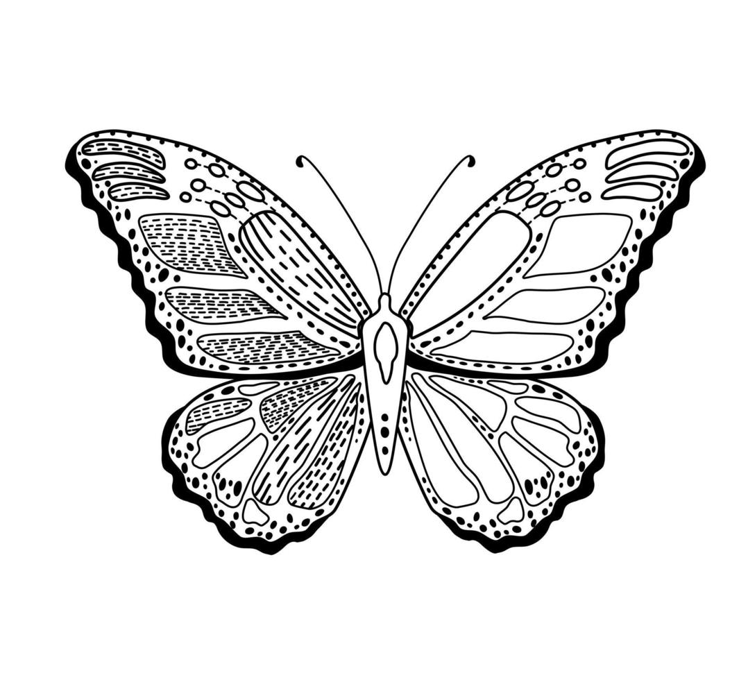 livre de coloriage papillon antistress pour adultes. illustration vectorielle. vecteur