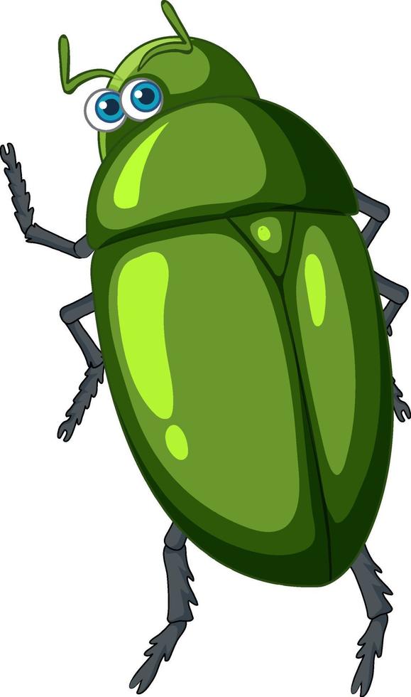un personnage de dessin animé de coléoptère vert isolé vecteur