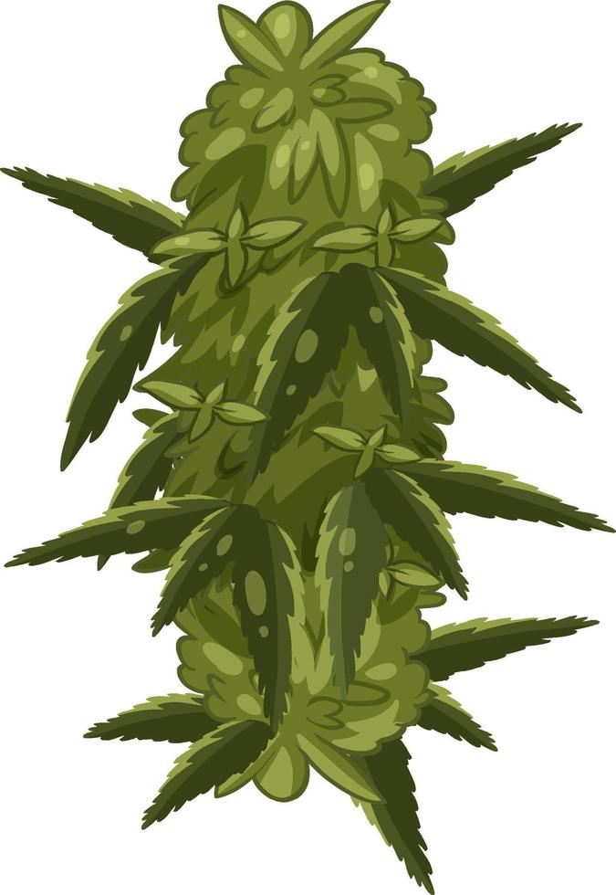 plante de cannabis sur fond blanc vecteur