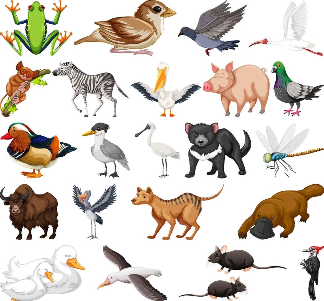 collection de différents types d'animaux vecteur