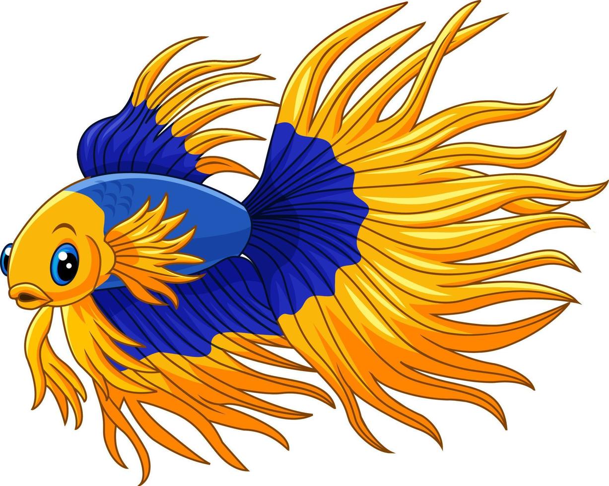 dessin animé or et bleu poisson combattant siamois vecteur