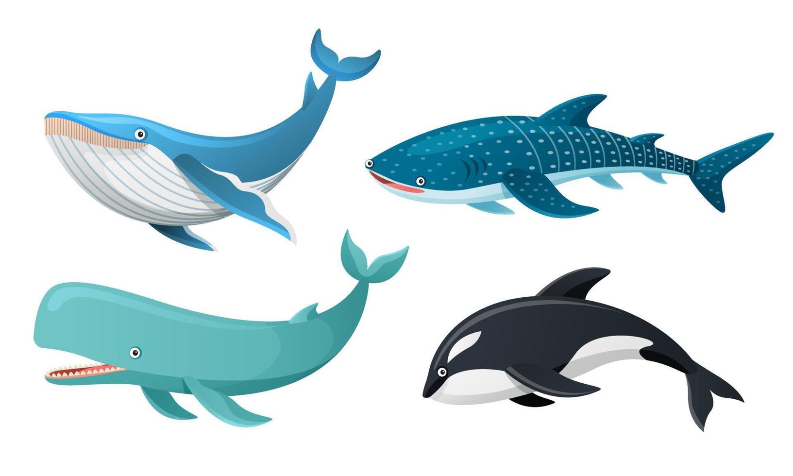 collection de baleines en illustration de dessin animé vecteur