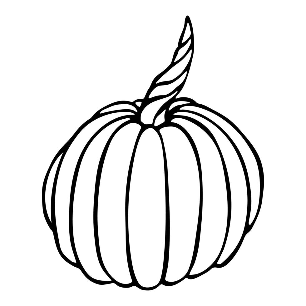 illustration vectorielle dessinée à la main de citrouille. objet isolé sur fond blanc. clipart de récolte de légumes. produit du marché agricole. éléments pour la conception d'automne, la décoration. vecteur