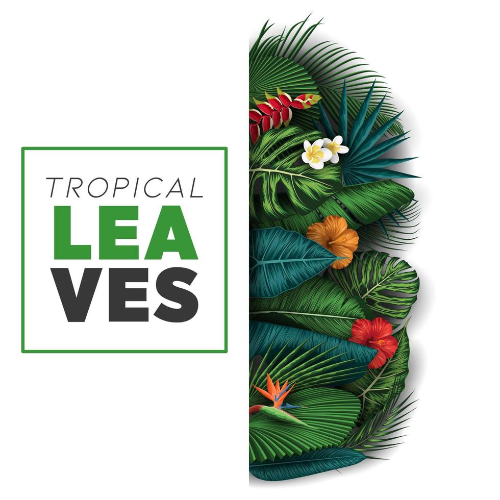 fond de feuilles d'été tropical avec des plantes de la jungle vecteur