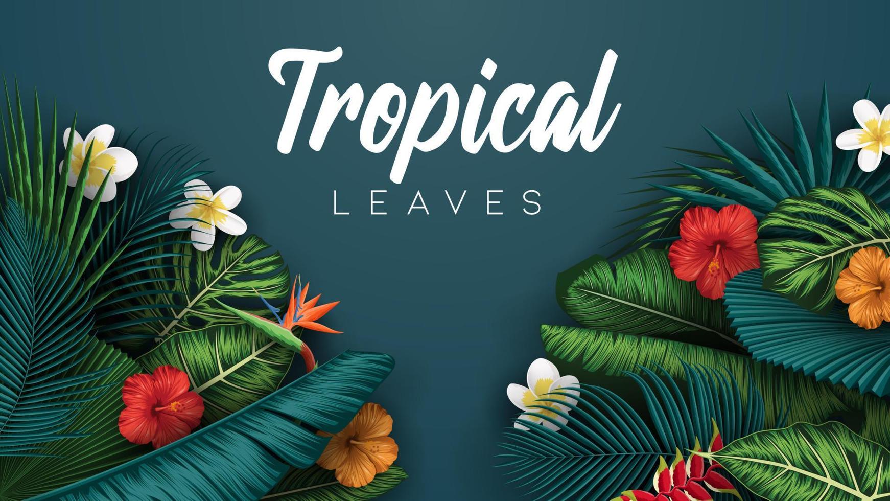 fond de feuilles d'été tropical avec des plantes de la jungle vecteur