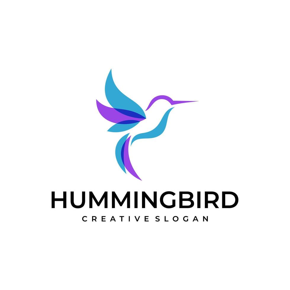 abstrait coloré colibri colibri oiseau logo ligne contour monoline vecteur icône illustration