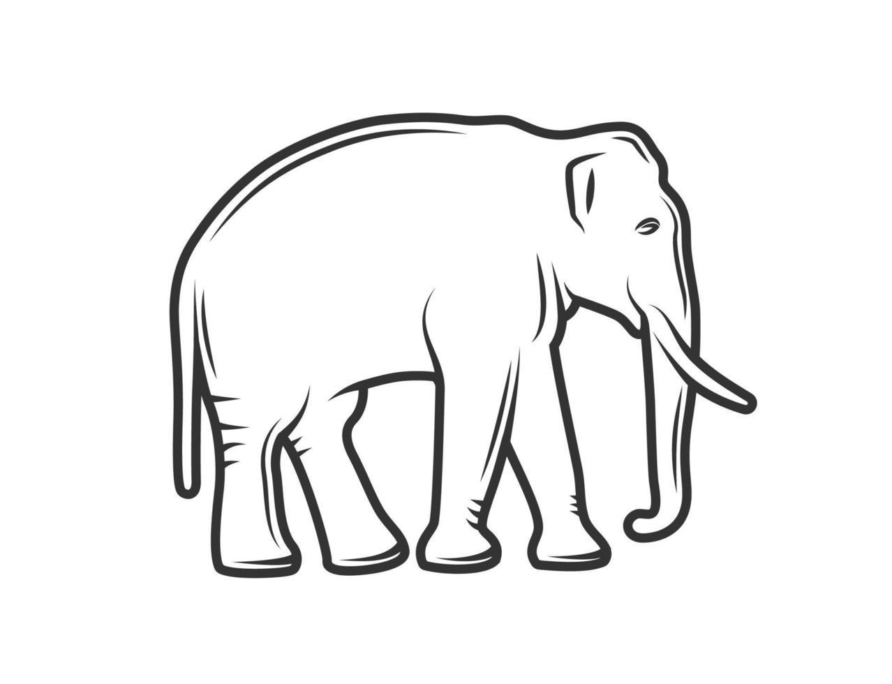 silhouette d'un éléphant isolé sur fond blanc vecteur