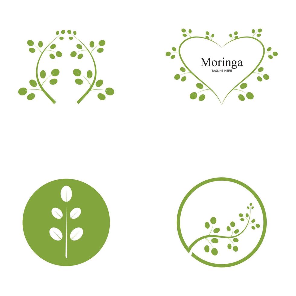 conception de vecteur d'illustration de logo de feuille de moringa