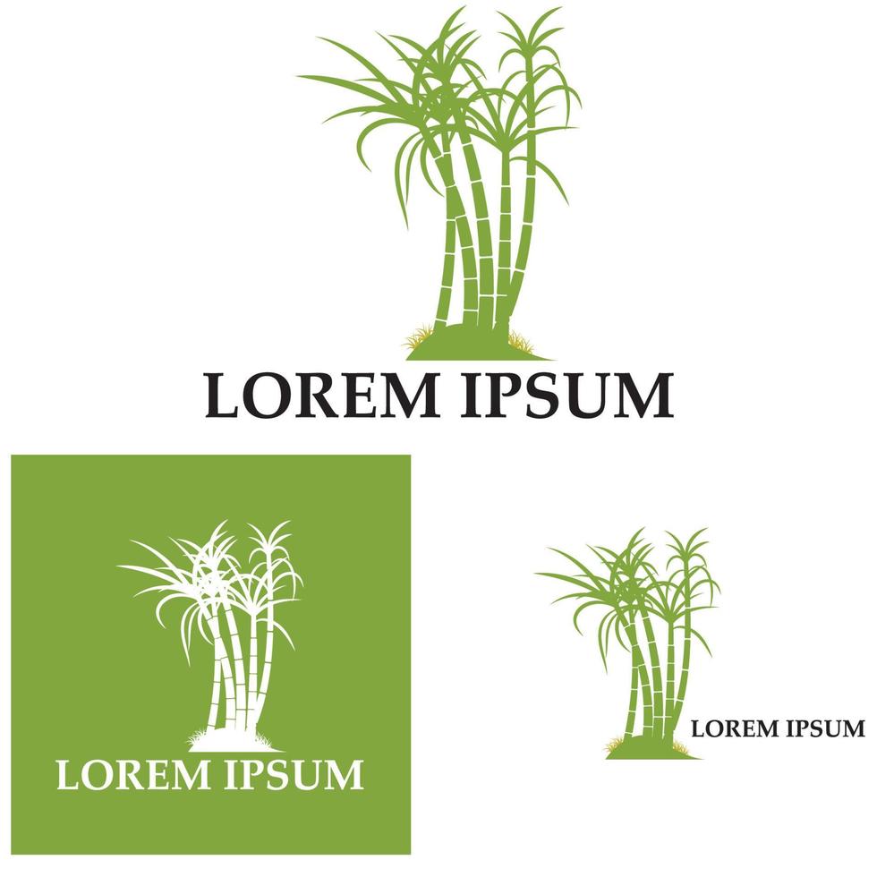conception d'illustration vectorielle de logo de plante de canne à sucre vecteur