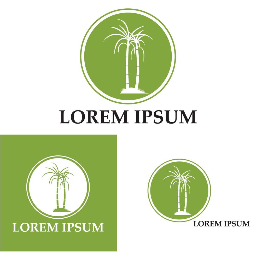 conception d'illustration vectorielle de logo de plante de canne à sucre vecteur