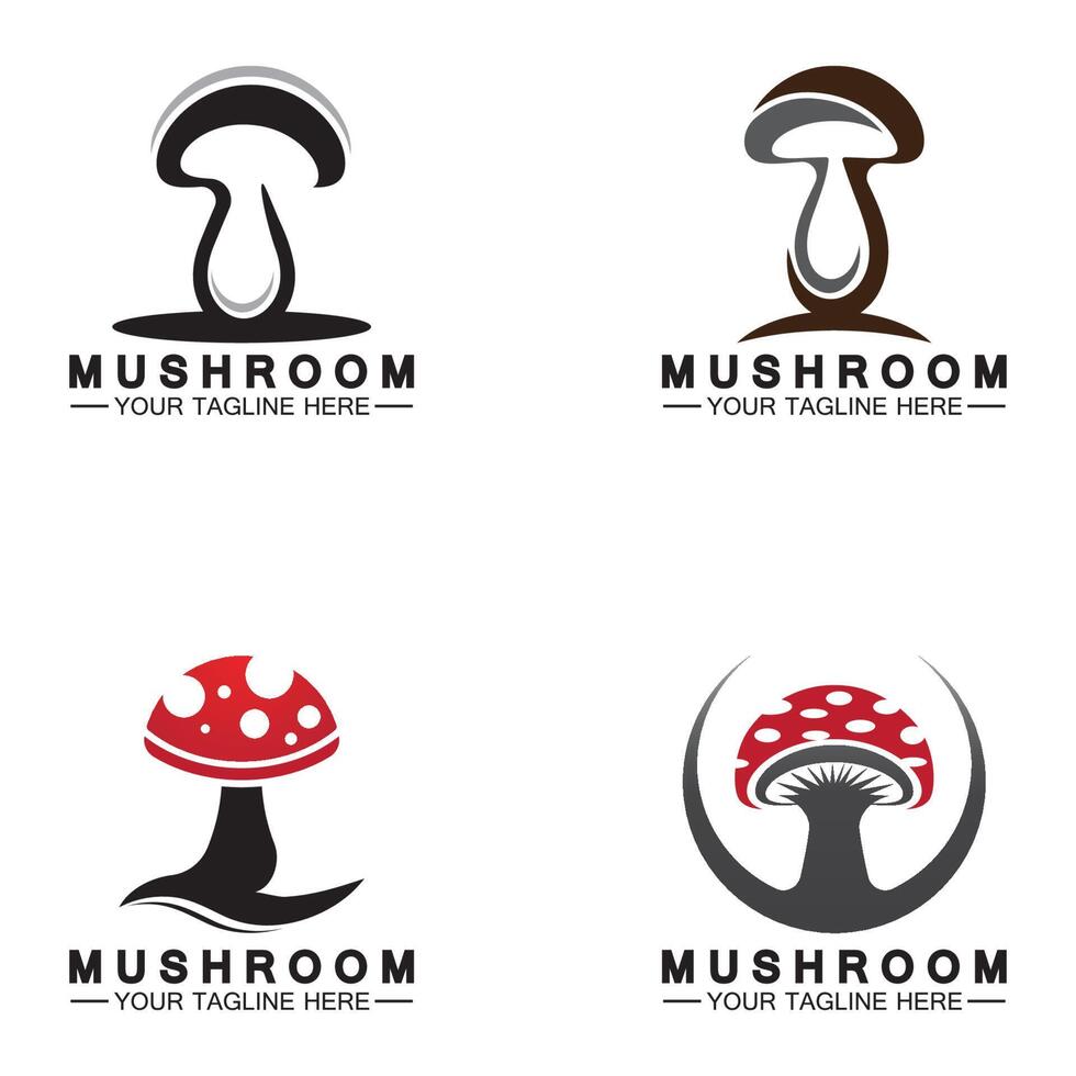 modèle de conception de vecteur de logo champignon