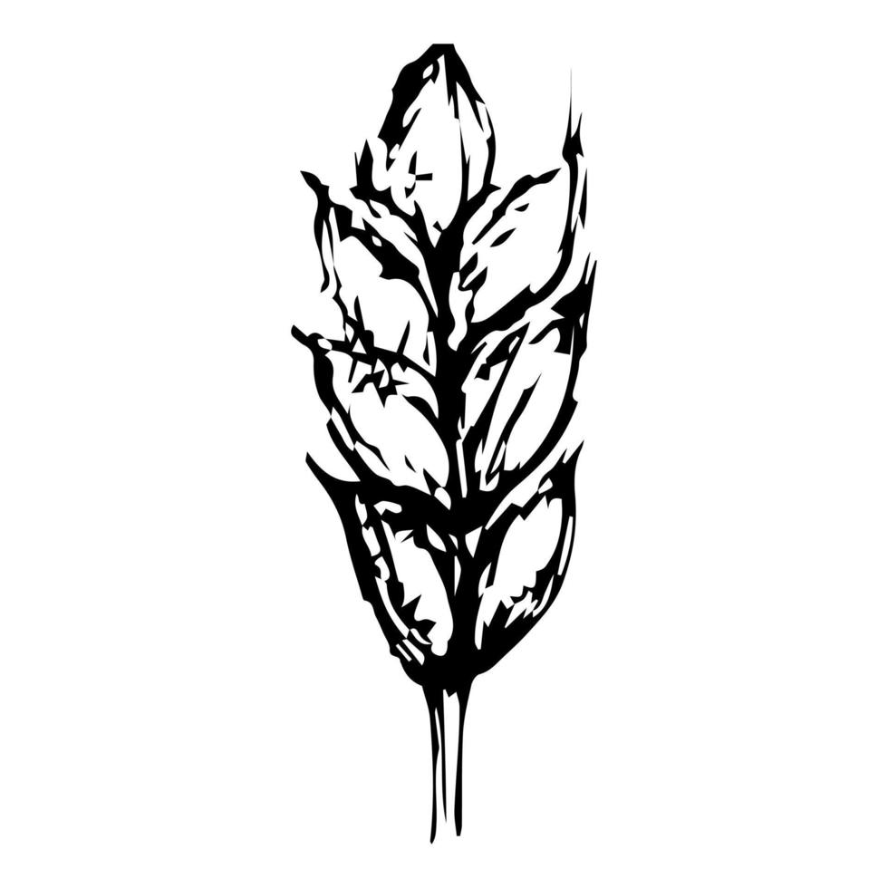 icône de croquis de vecteur de blé isolé sur fond. icône de blé dessiné à la main. icône de croquis de blé pour infographie, site Web ou application.