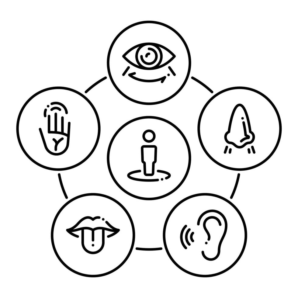 ensemble d'icônes noires isolées sur fond blanc, sur les organes des sens du thème vecteur