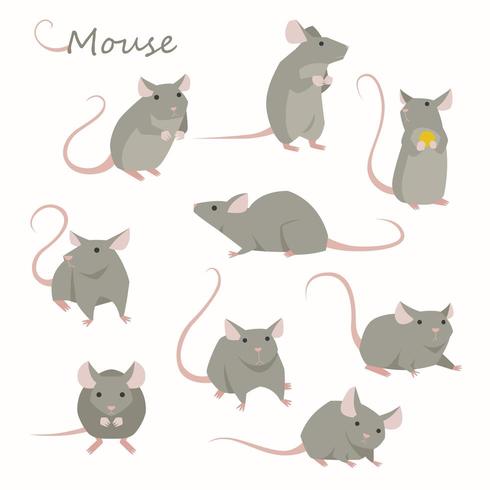 Jeu de caractères de souris mignon. vecteur