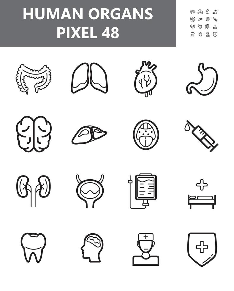 vecteur de jeu d'icônes d'organes humains. la gorge, la seringue, l'hôpital sont montrés. reins, foie, coeur, symbole du plan de l'intestin pour le site Web en 48 pixels. vessie, estomac, illustration des poumons.