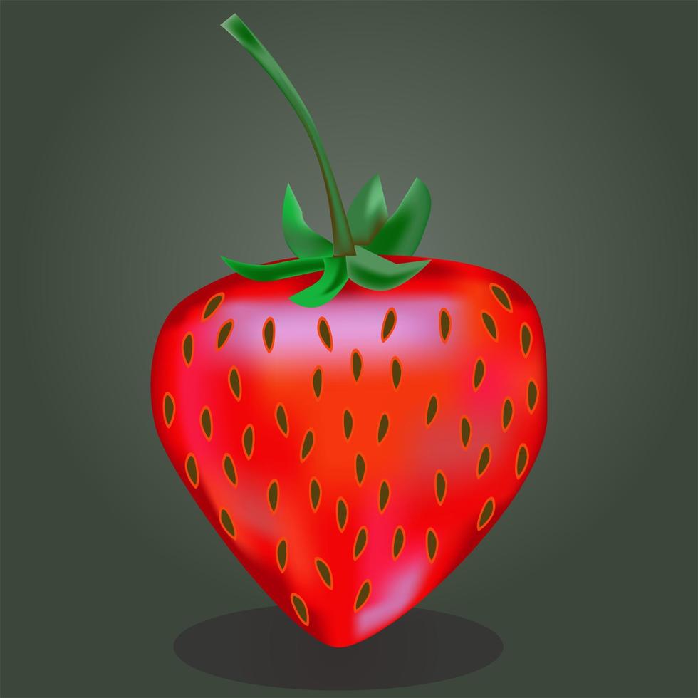 illustration vectorielle de fraise vecteur