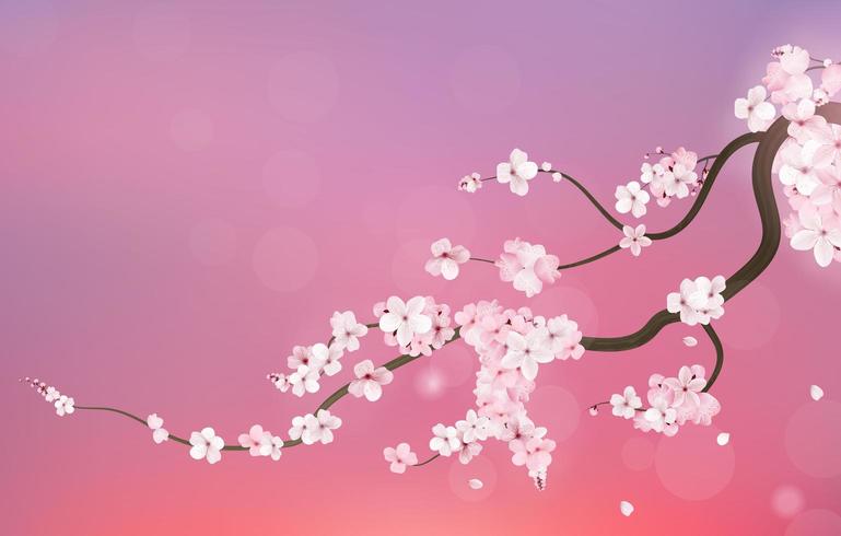 Branche de cerisier japonais Sakura réaliste vecteur