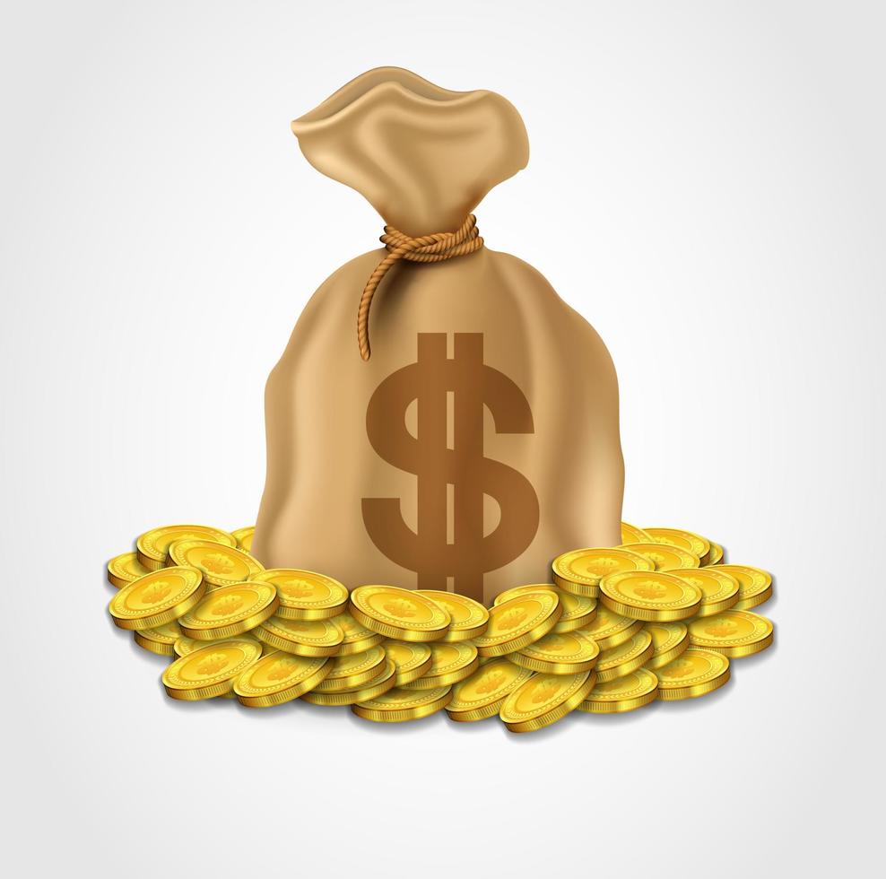 sac de dollar avec tas de pièces d'or. illustration vectorielle vecteur