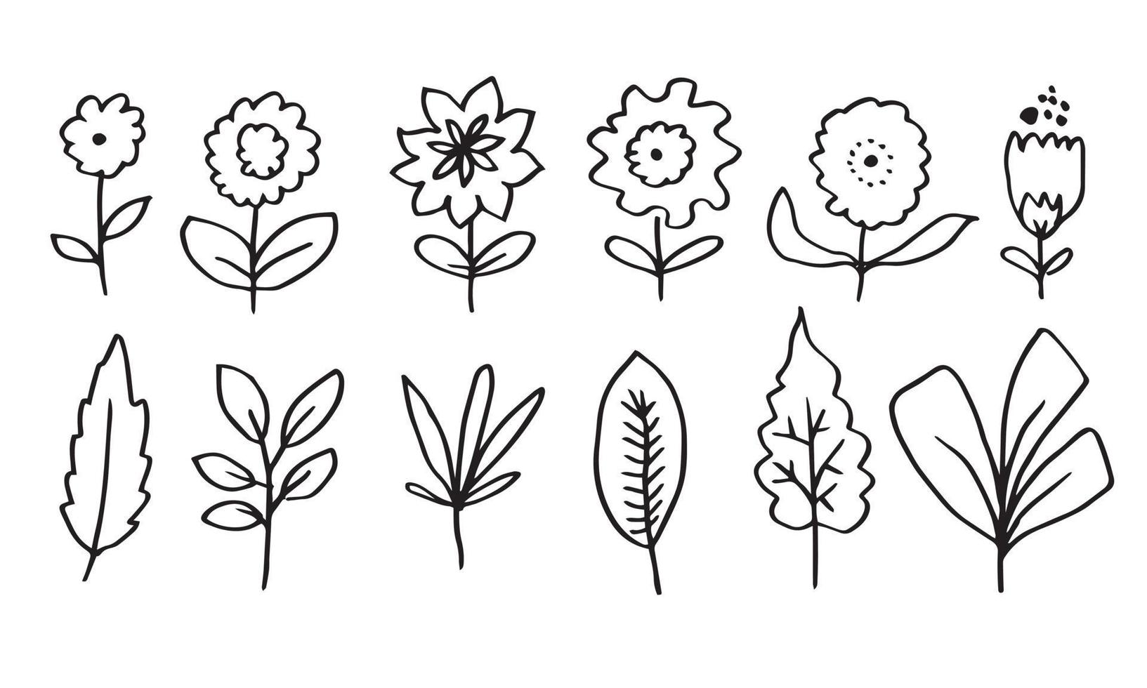une collection d'images de fleurs dessinées à la main telles que des campanules, des chrysanthèmes, des tournesols, des fleurs de coton et des feuilles tropicales vecteur