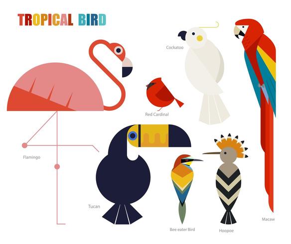 jeu d&#39;oiseaux tropicaux géométriques. vecteur